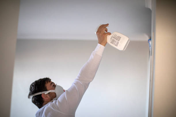 Best Mold Damage Repair  in Connelly Springs, NC